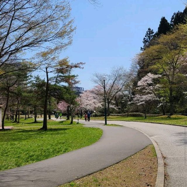 Dainohara Forest Park (台原森林公園)