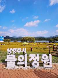 Muljeongwon Flower Festival Review – Namyangju