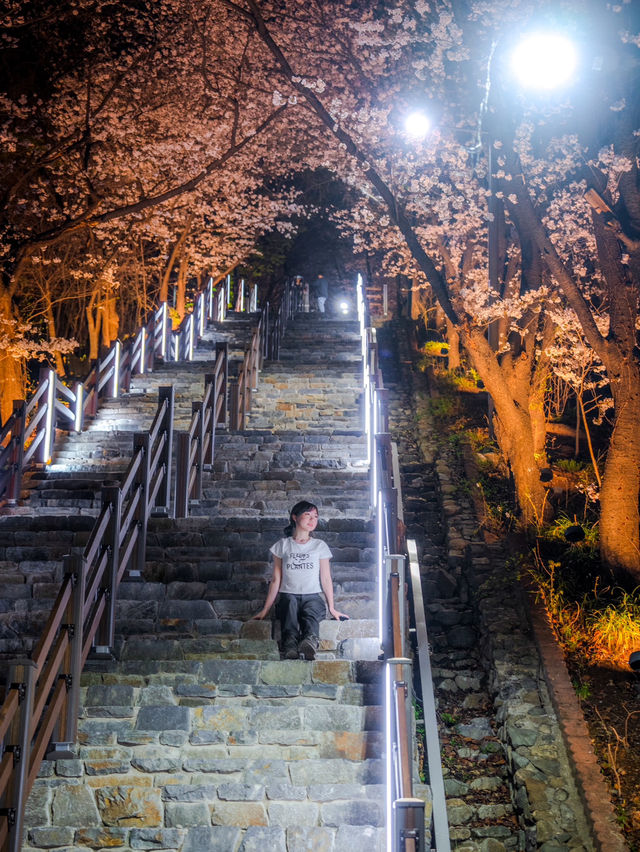 벚꽃계단 밤에 가야 하는 이유..🌸🖤✨