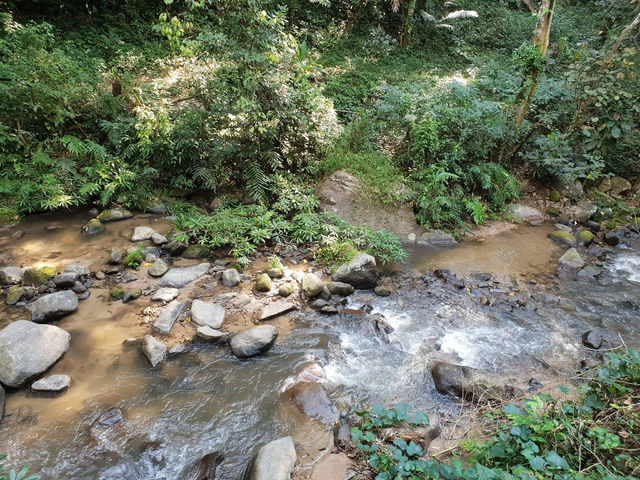 หนีฝุ่นเมืองหลวงมาสูดอากาศบริสุทธิ์ที่แม่แมะ