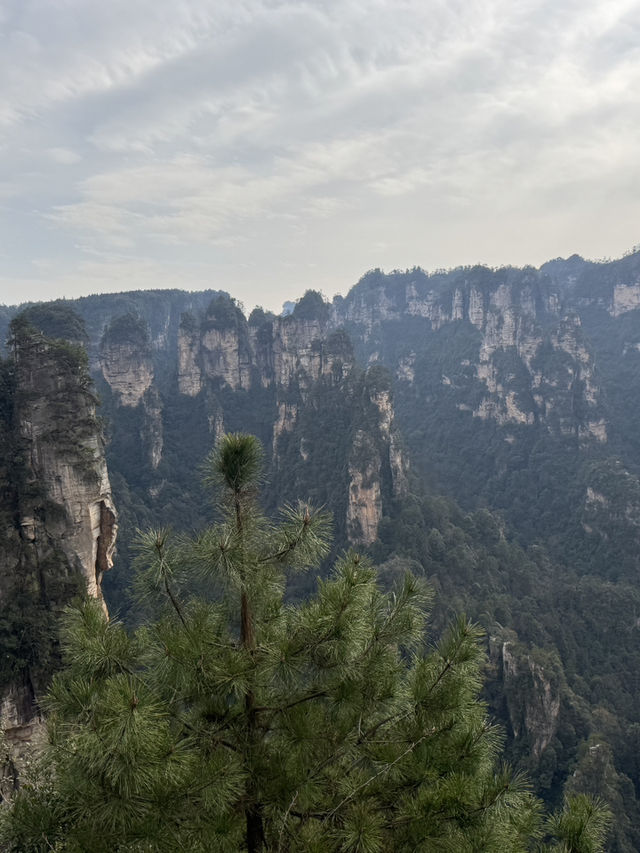 9 Days in Changsha, Zhangjiajie and Fenghuang