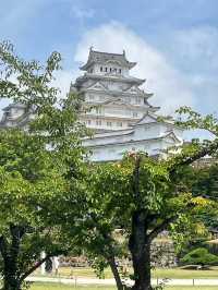 關西11日遊（下）