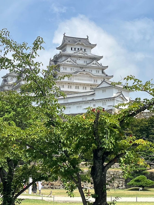 關西11日遊（下）