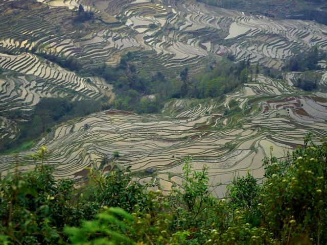 【中国】世界遺産元陽棚田！圧巻の5000段の棚田