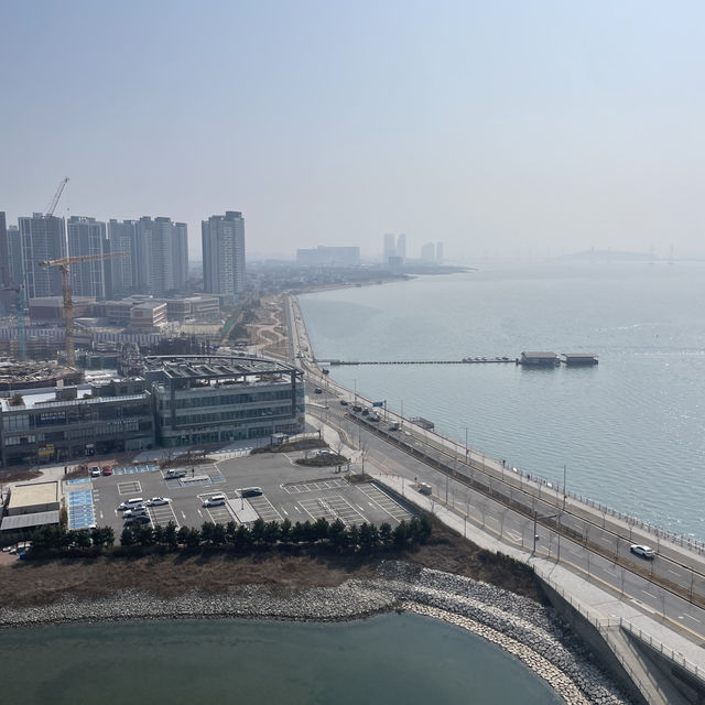 주말도 8만원대 감성 르컬렉티브 시흥 웨이브파크 ‼️