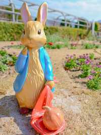 ピーターラビットに会えちゃうスポット🐰🥕📗🫧