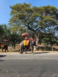 ศาลหลักเมืองอยุธยา จุดศูนย์รวมแห่งศรัทธา
