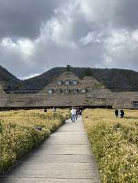 日帰り近江八幡旅