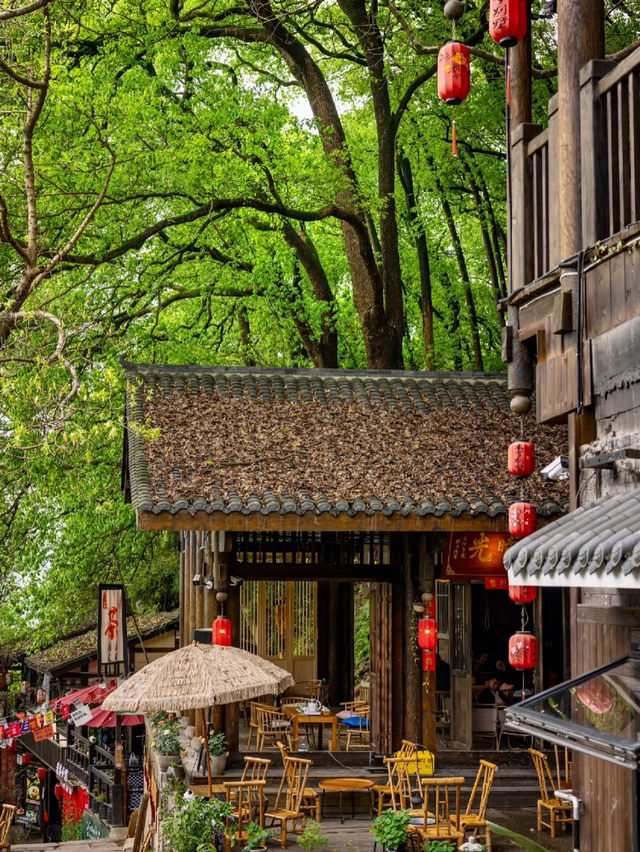  黃葛古道｜800年古道+森林氧吧｜人少景美免費