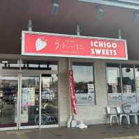 🇯🇵【香川県】休憩！買い物！グルメ！おすすめの道の駅！