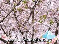 แจกแพลนเที่ยวเฉิงตู-ฉงชิ่ง 5 วัน 4 คืน งบ 16,000B