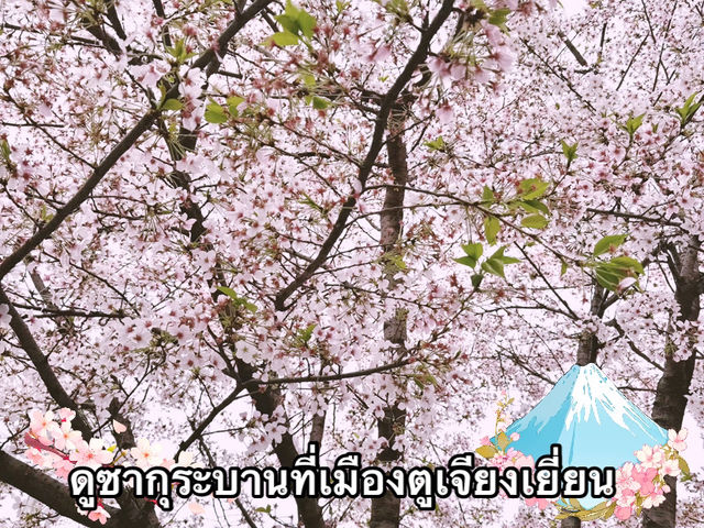 แจกแพลนเที่ยวเฉิงตู-ฉงชิ่ง 5 วัน 4 คืน งบ 16,000B