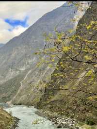 A Scenic Road Trip Through Nature’s Wonderland