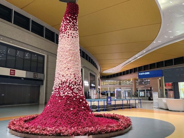 [🇨🇳上海] 上海浦東国際空港の魅力と利便性
