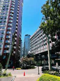 The Busy Downtown Meets Calm Greenbelt