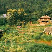 Mori Natural Farm โมริ เนเชอรัลฟาร์ม เชียงใหม่ 🏮🛖