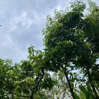 🌿やんばるの「南瞑森室」で心と体をリセット🌿