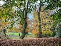 Alexandra Park
