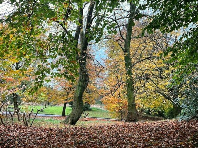 Alexandra Park