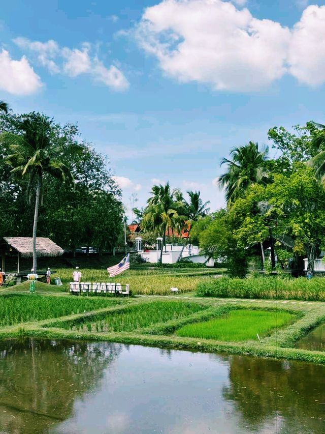馬來西亞蘭卡威著名博物館景點：稻田博物館，適合打卡拍照📸