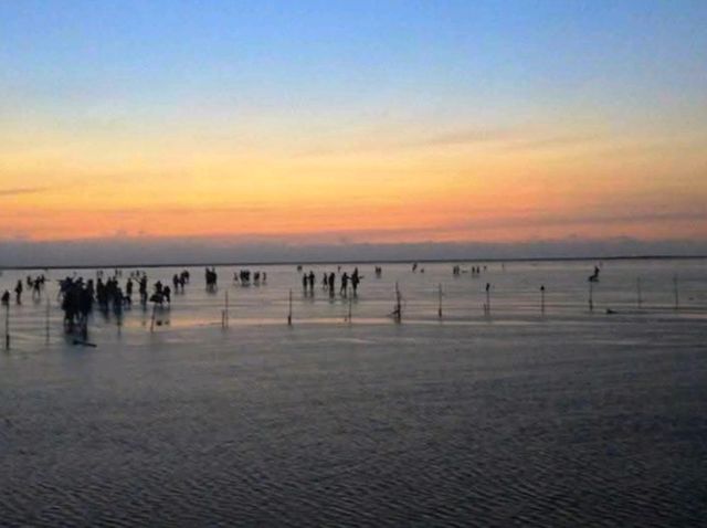 高美濕地賞落日，浪漫的金黃色海天一線