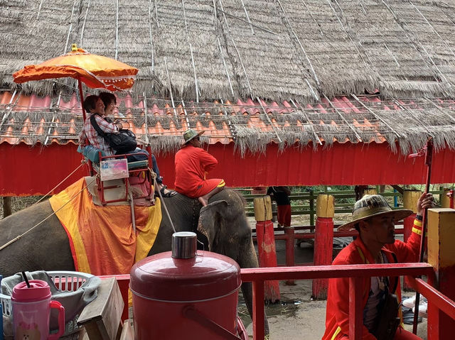 【タイ🇹🇭】バンコク観光