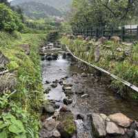 【陽明山国家公園｜竹子湖】霧の中で味わう、やさしいスモークチキン