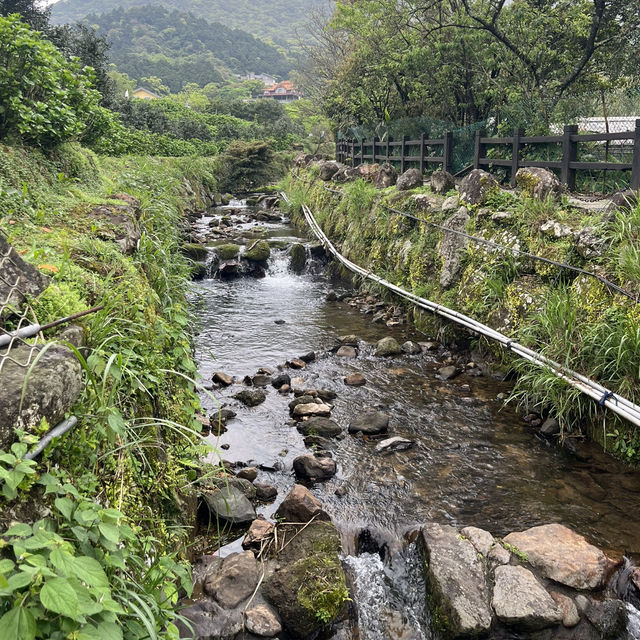 【陽明山国家公園｜竹子湖】霧の中で味わう、やさしいスモークチキン