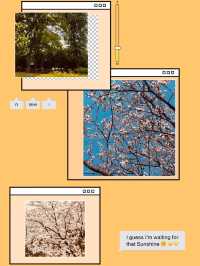 The Green Promise: Dasan Park's Spring Pledge of Rebirth 
