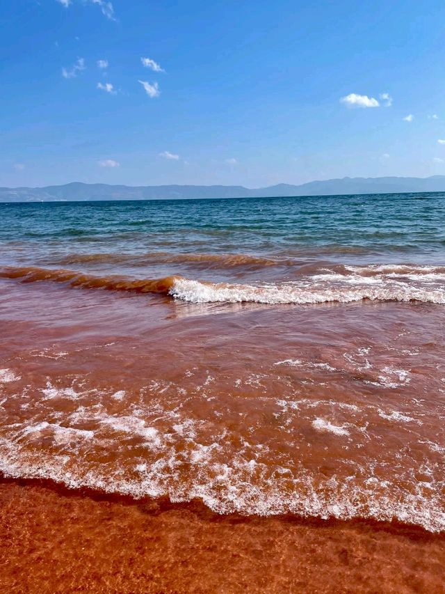 Red Sand Beach: Spring’s Crimson Canvas