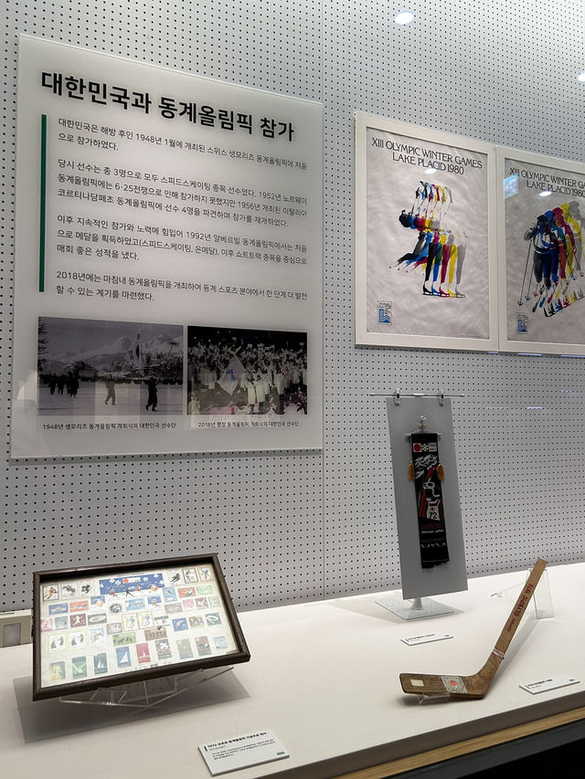 불꽃 하나에 담긴 올림픽 정신을 보여주는 평창올림픽 성화봉송🇰🇷