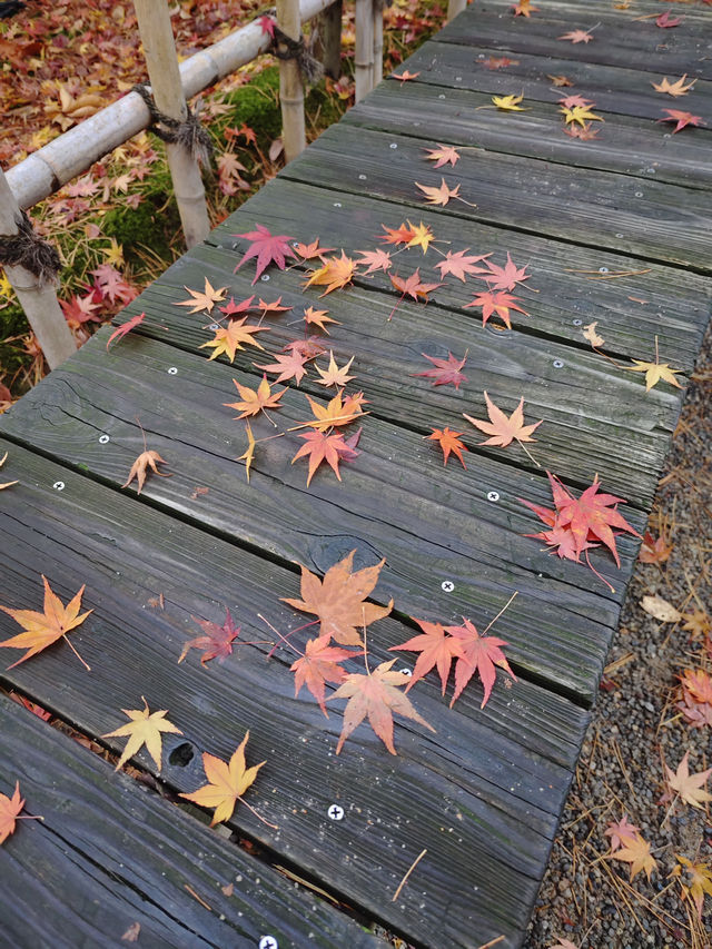 日本名古屋 | 兼六園
