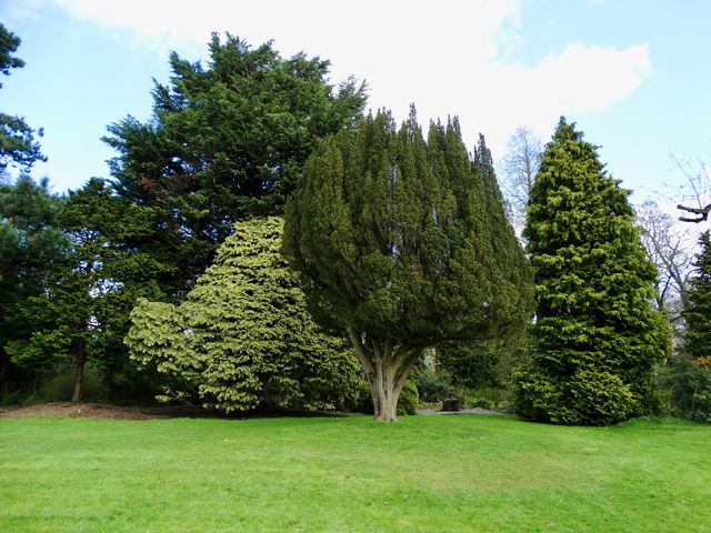 Breathe in Belfast: Spring at Botanic Gardens