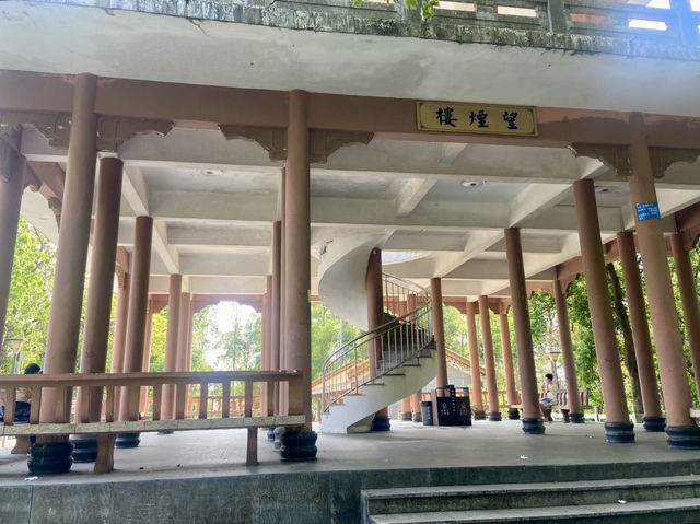 感受大自然的魅力⛰️✨鳳凰山森林公園🧗 