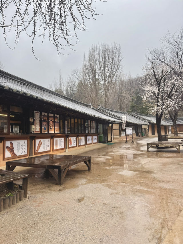 Immerse yourself to a Traditional Korean Culture of Late Joseon Era