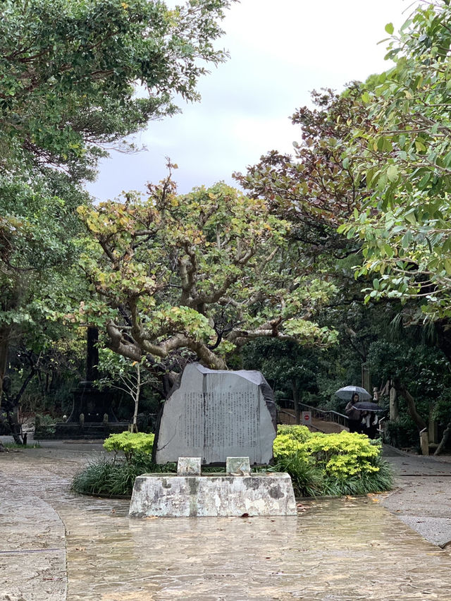 🌴 오키나와에서 만나는 역사와 문화, 그리고 휴식