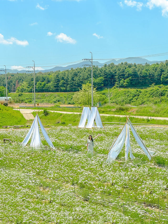 여기선 시간도 천천히 흐르는 기분…🕰️💫