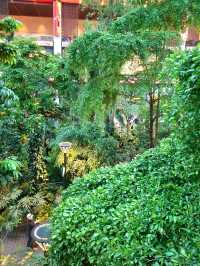 DISCOVER THIS GREEN GEM IN HAMAD INTERNATIONAL AIRPORT