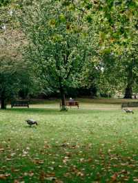 Hyde Park