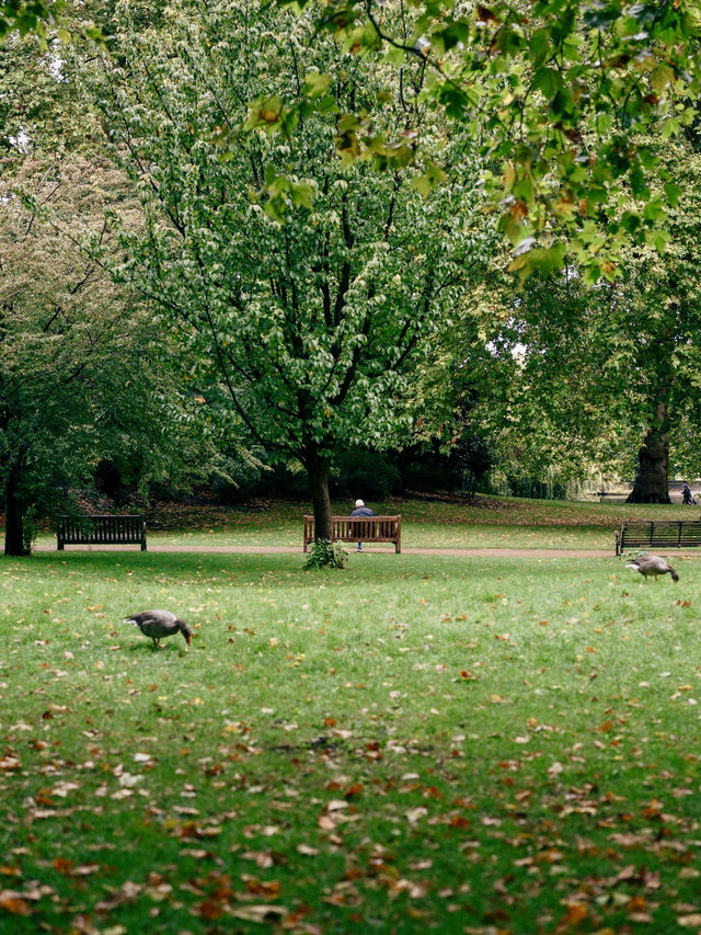 Hyde Park
