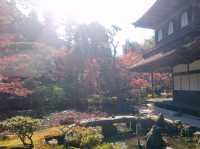【京都】銀閣寺で日本庭園を楽しむ