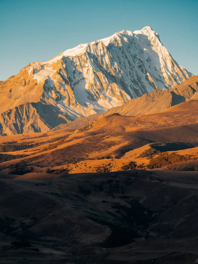 Discover and explore Genyen