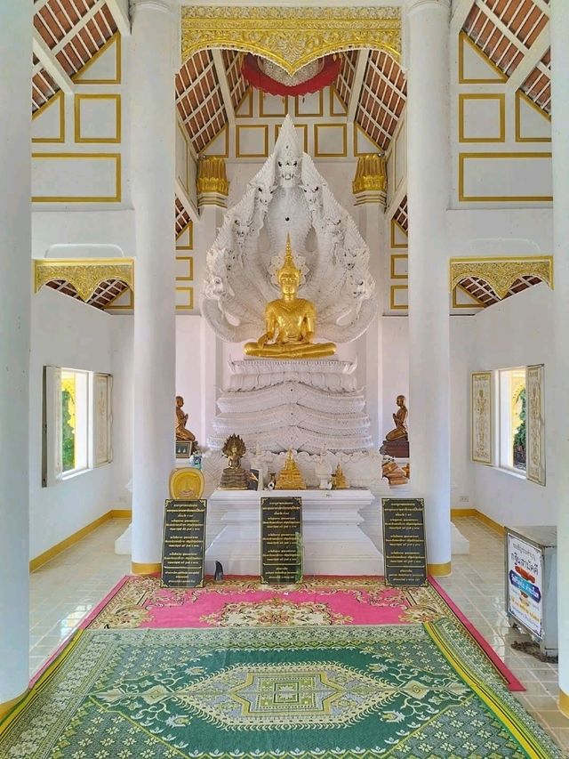วัด คำชะโนด วังนาคินทร์
