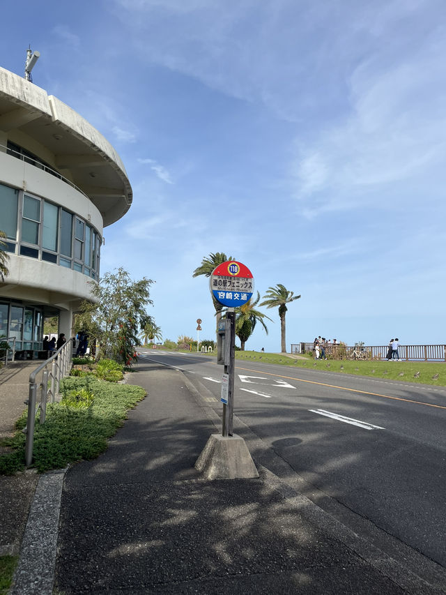 【宮崎】道の駅フェニックス駅🚏