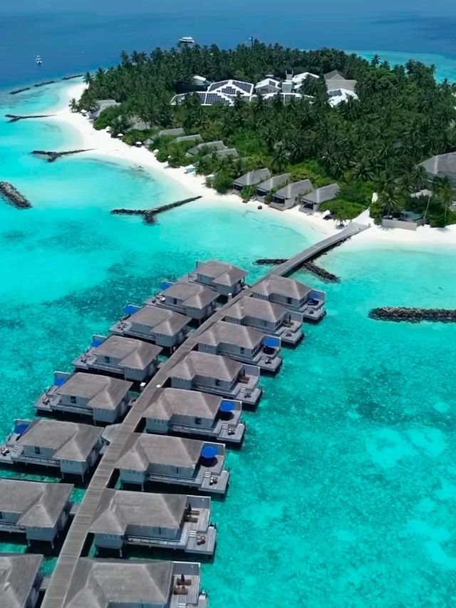 Maldives Vibes: Feel It, Live It, Love It
