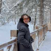 Snow Town Harbin! เมืองหิมะในฝัน 