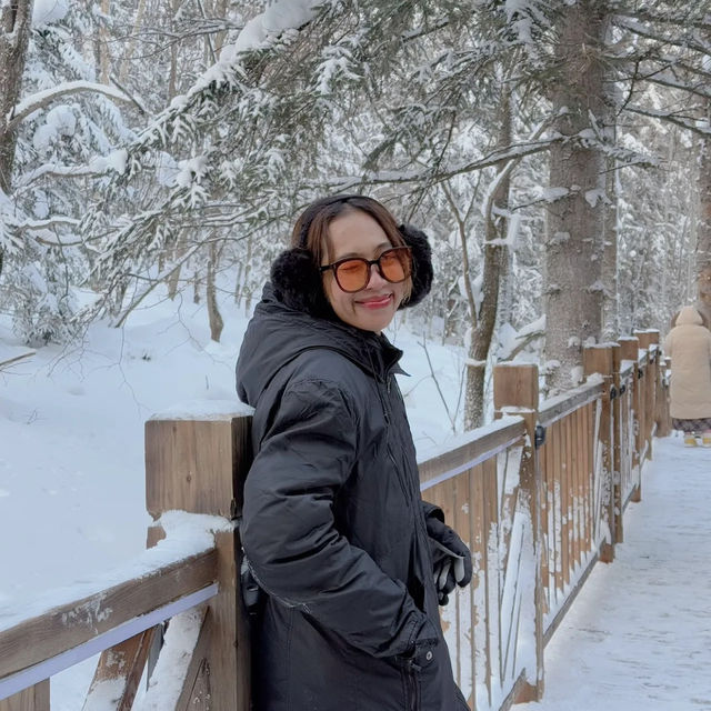 Snow Town Harbin! เมืองหิมะในฝัน 