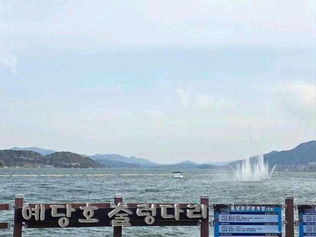#예당호#출렁다리#백종원#예산시장
