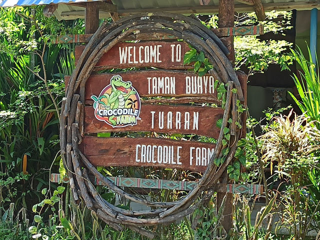 Snap Happy at Tuaran Crocodile Farm: Jaws-Dropping Fun! 🐊📸