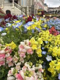 【まるでヨーロッパ】心まで浄化される長崎ハウステンボス🌷